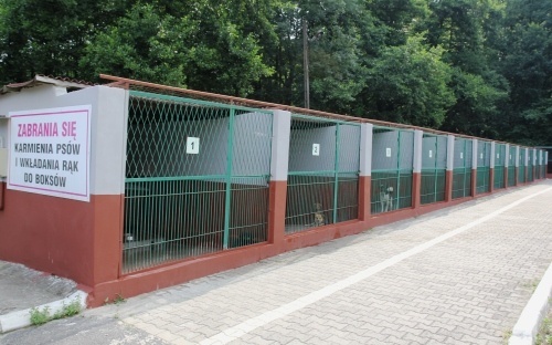 Odnowione boksy w schronisku dla zwierząt